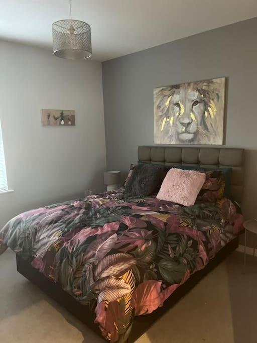 Corran Mews Apartment ลาร์น ภายนอก รูปภาพ